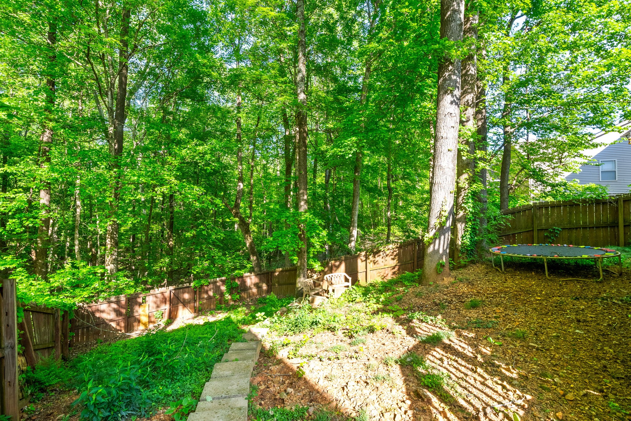 309 David Dr