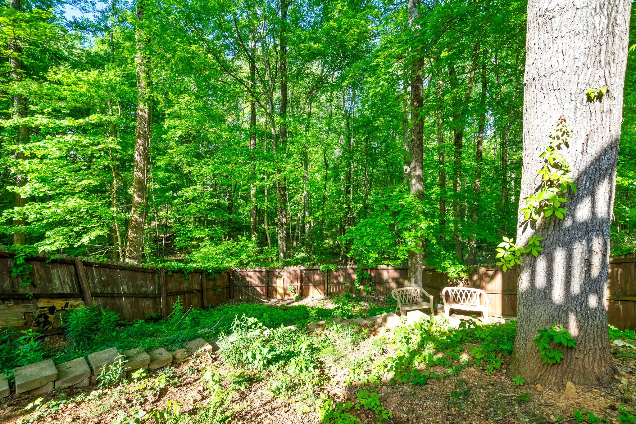 309 David Dr