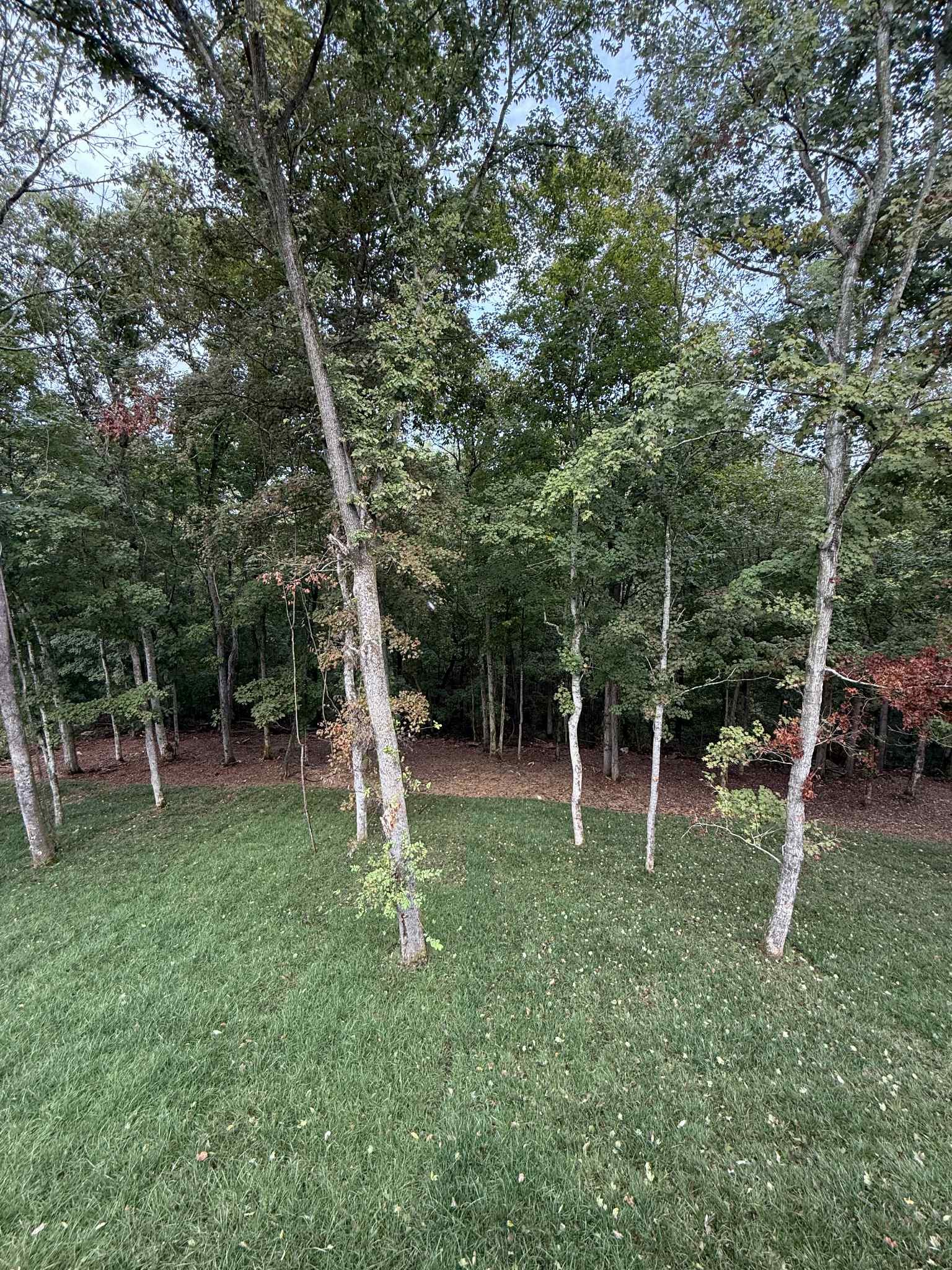 46 Gratton Estates