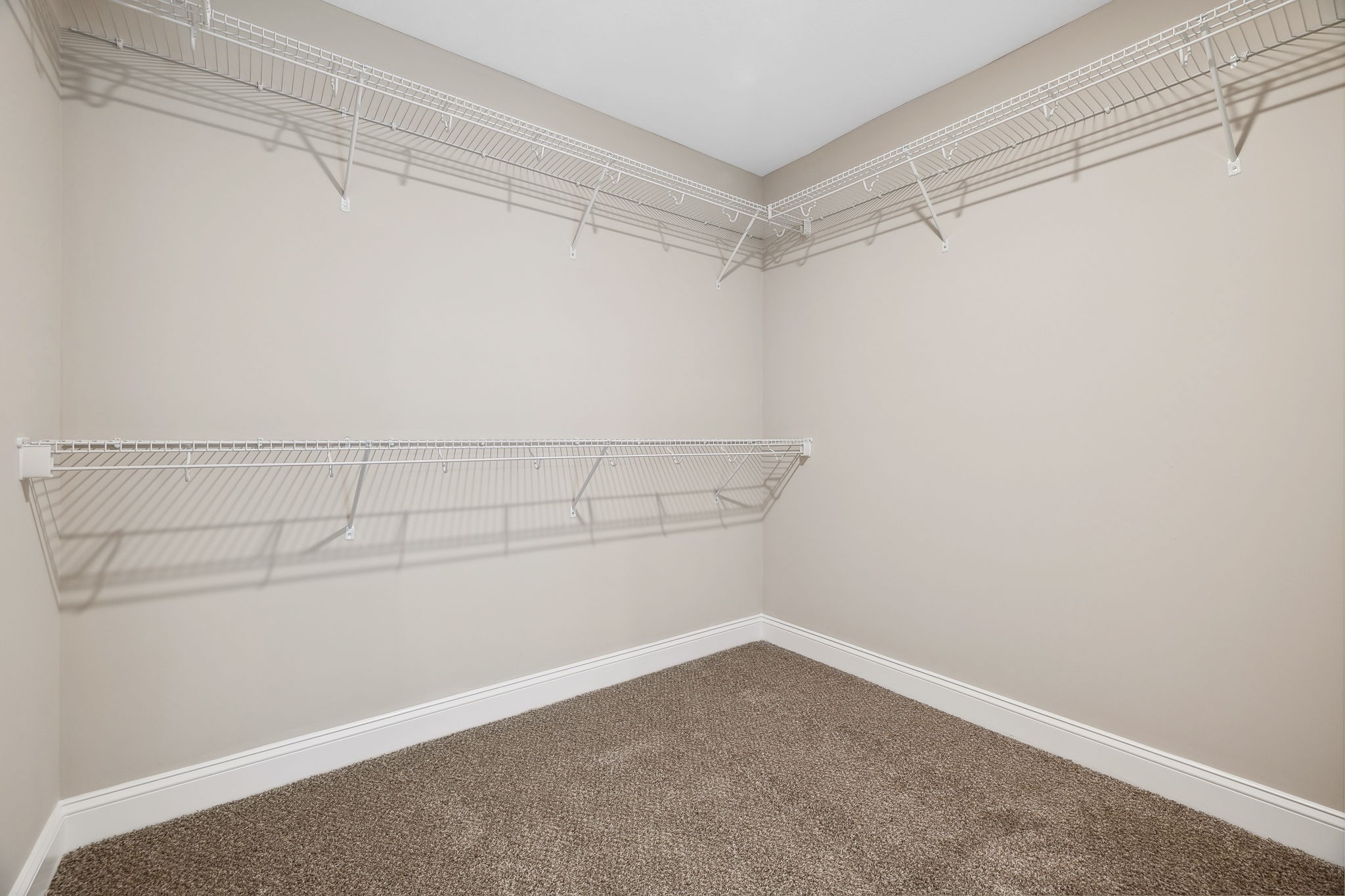 300 Cardinal Creek