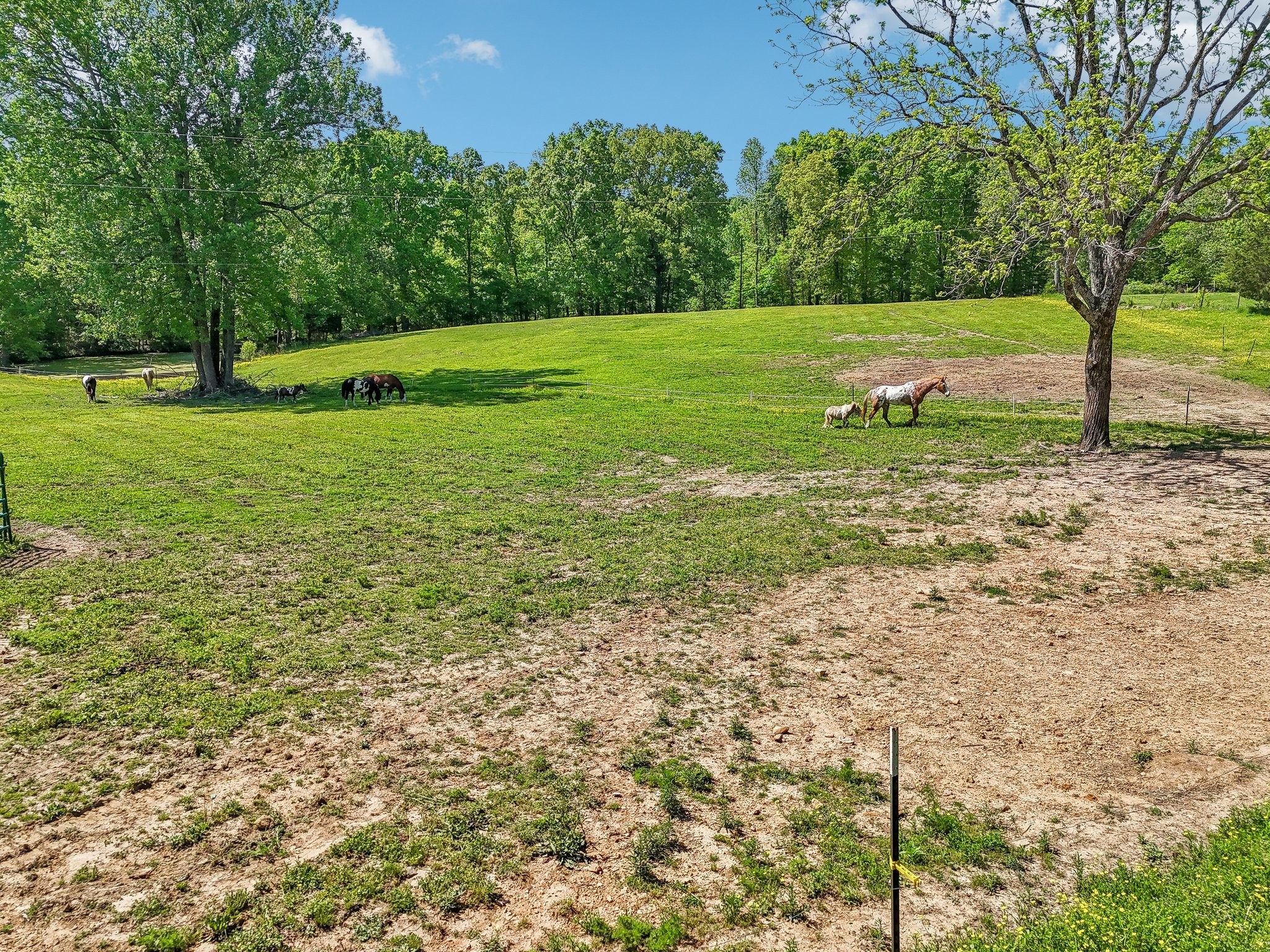 46 Seay Ln