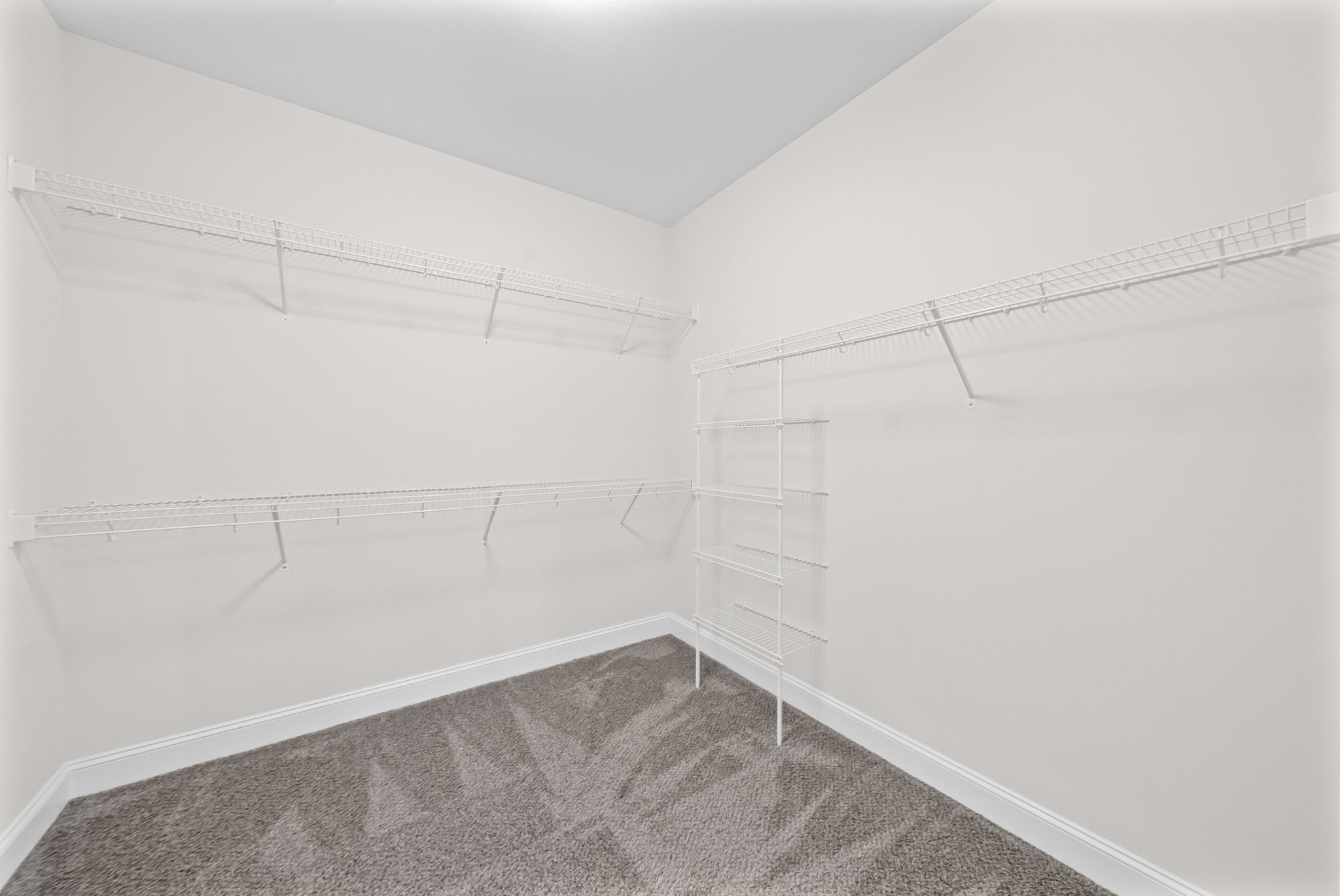 501 Bloomington Trce