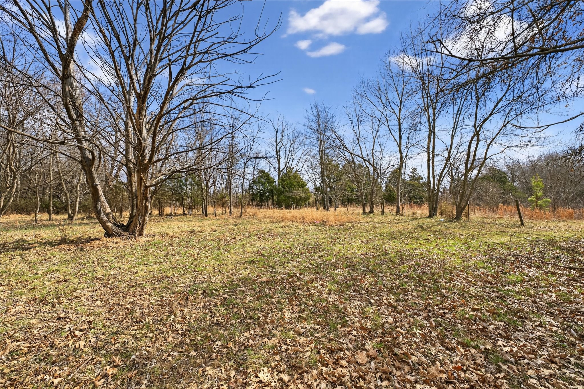 3236 Dover Rd