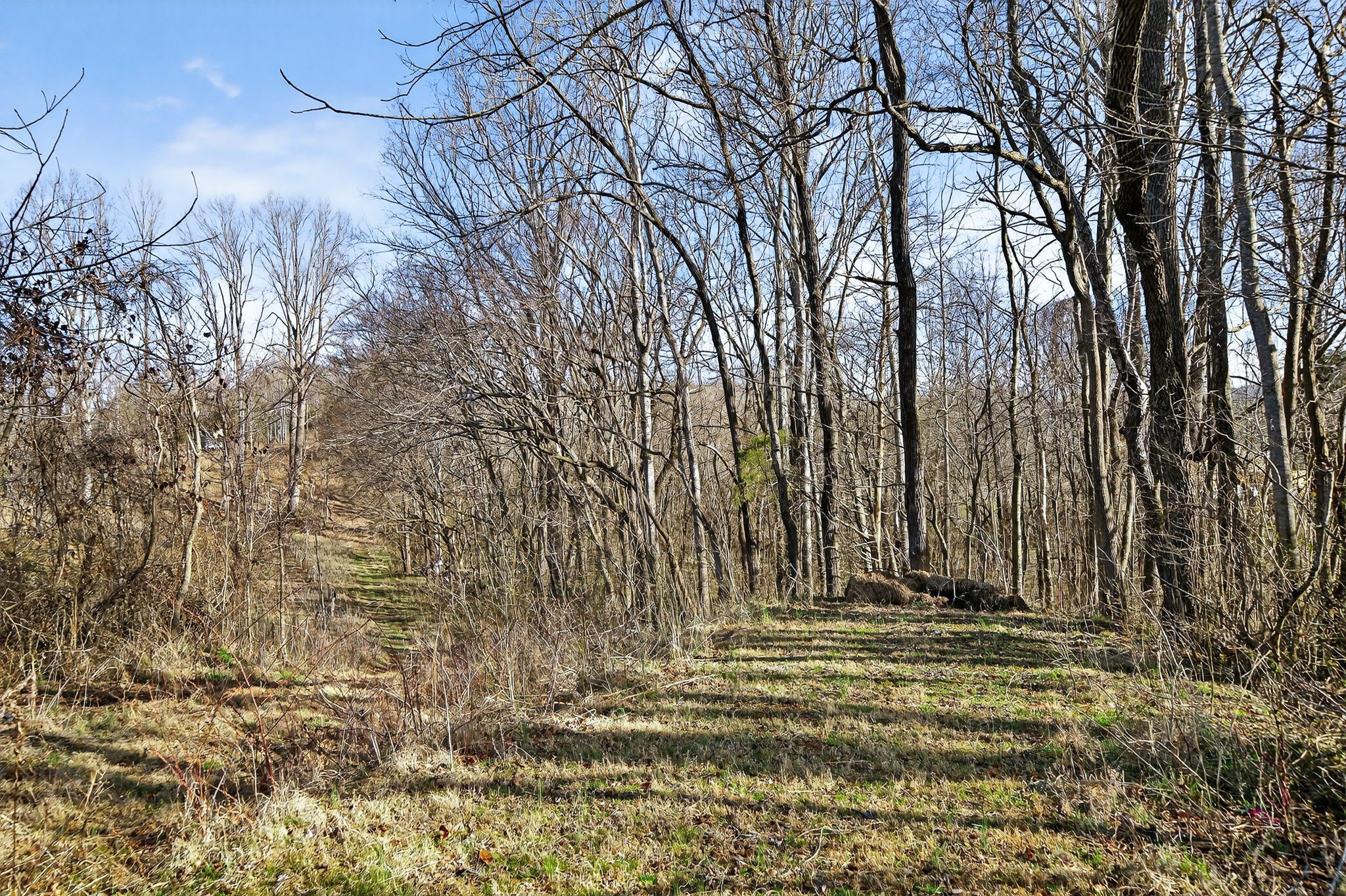 1405 Cane Creek Cummingsville Rd