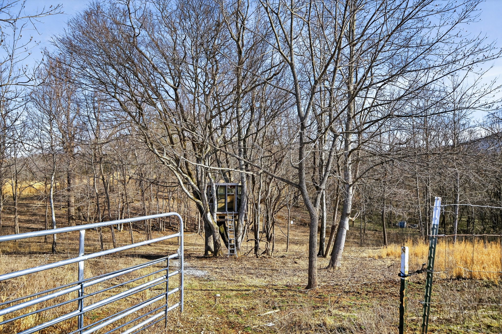 1405 Cane Creek Cummingsville Rd