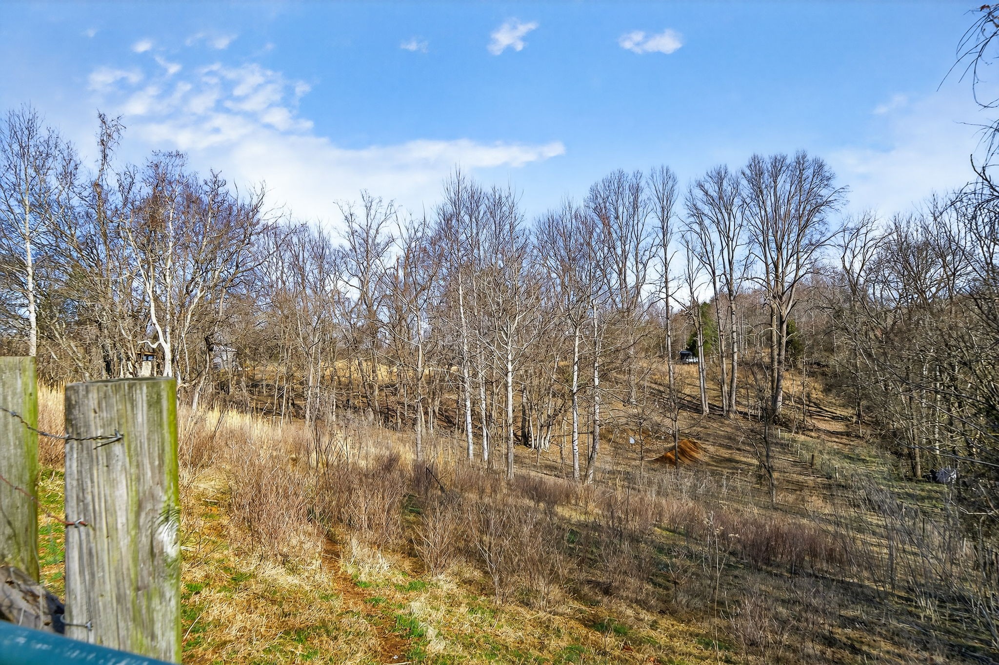 1405 Cane Creek Cummingsville Rd