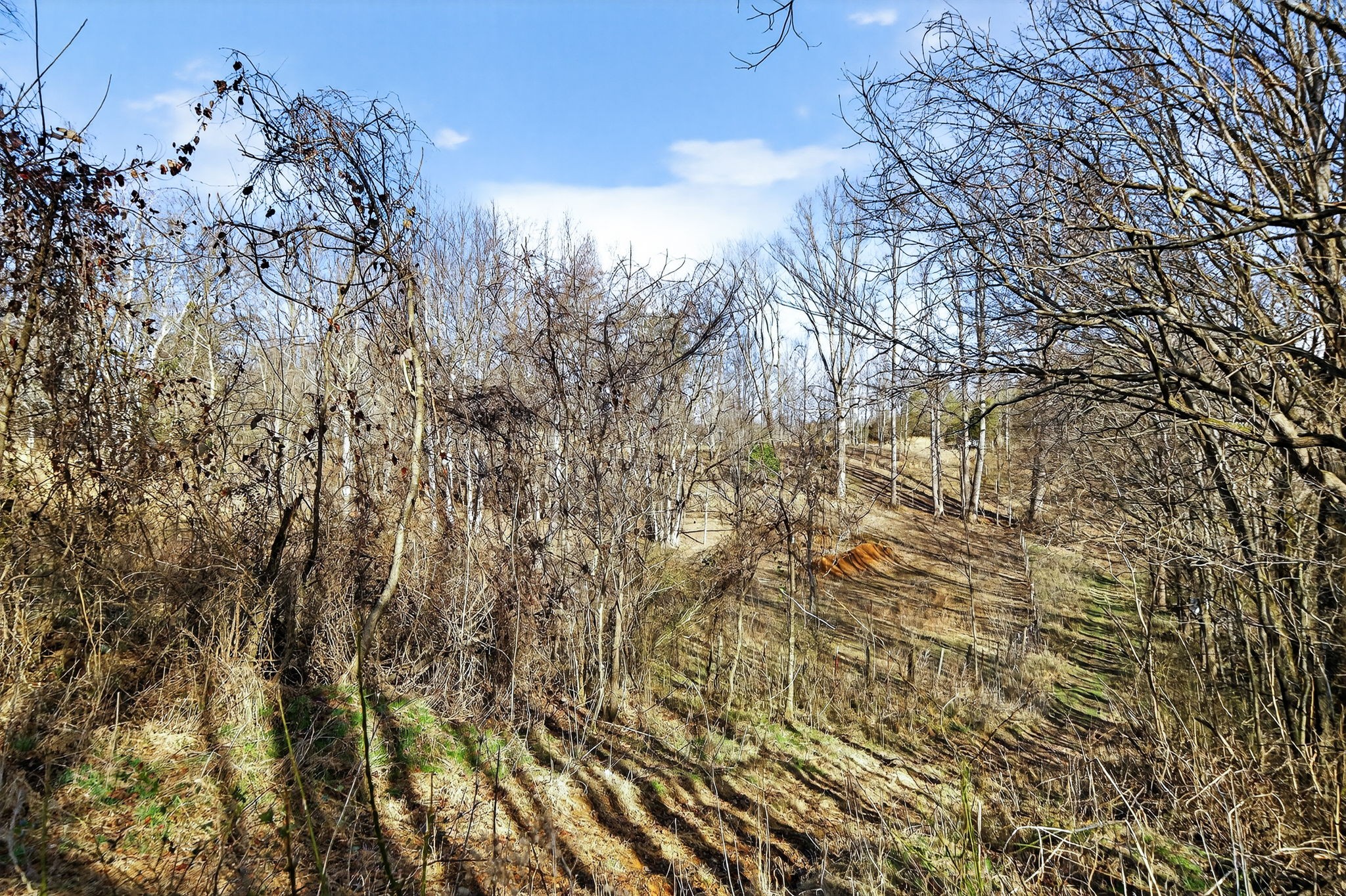 1405 Cane Creek Cummingsville Rd