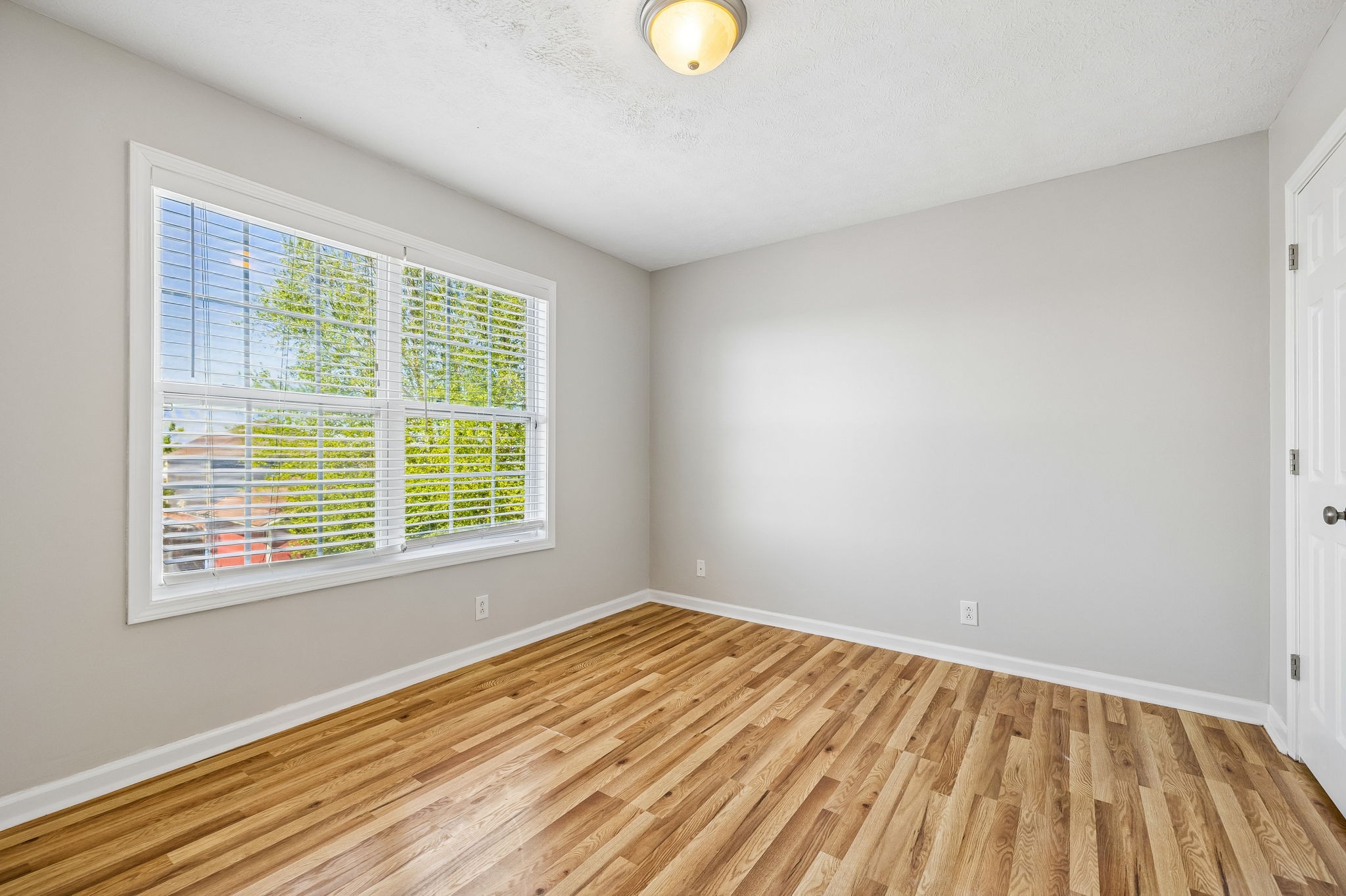 1437 Cedar Springs Cir