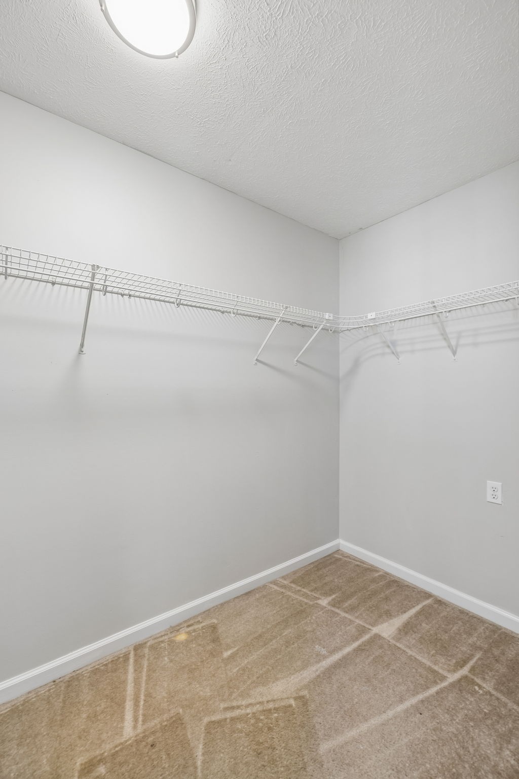 1437 Cedar Springs Cir