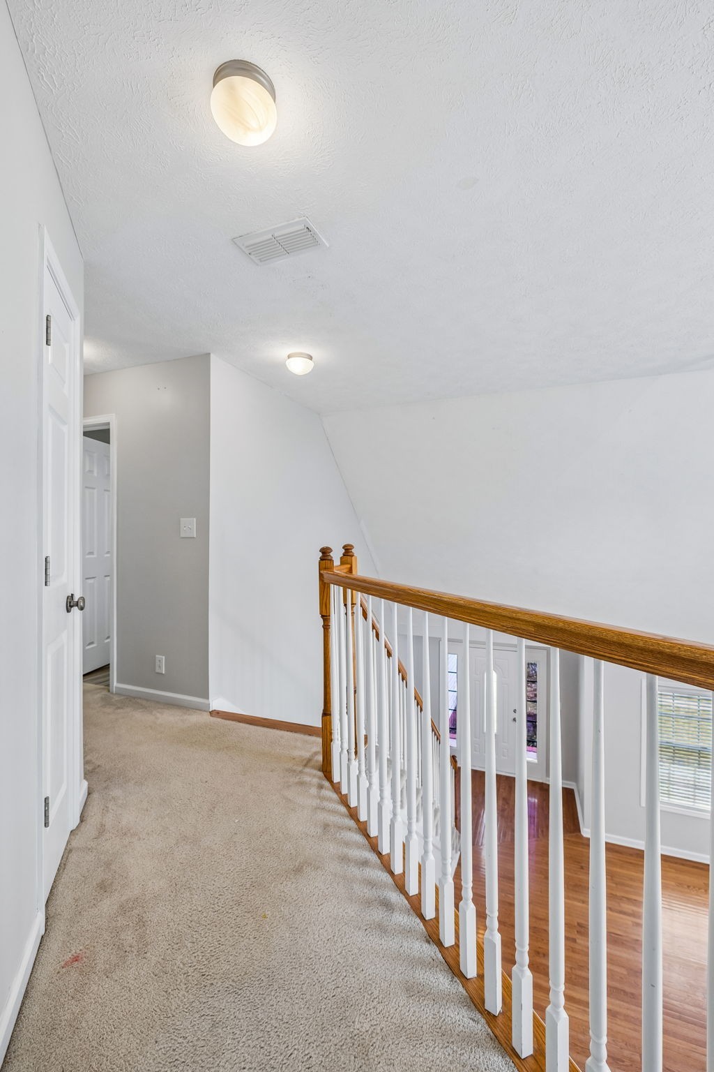 1437 Cedar Springs Cir