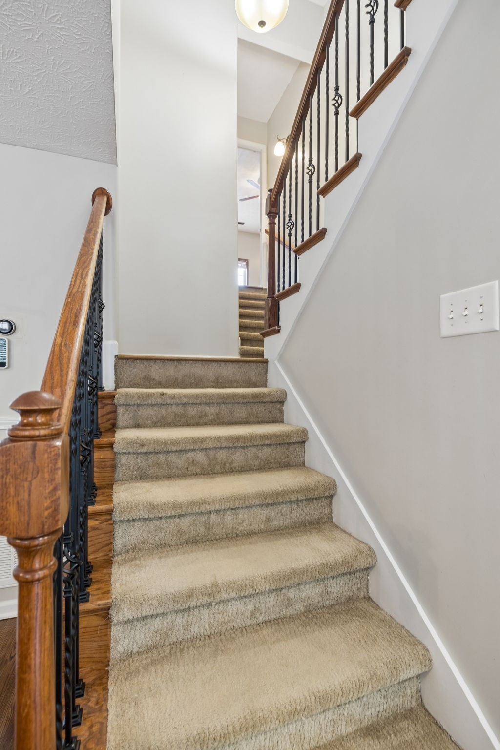 1913 Jackie Lorraine Dr