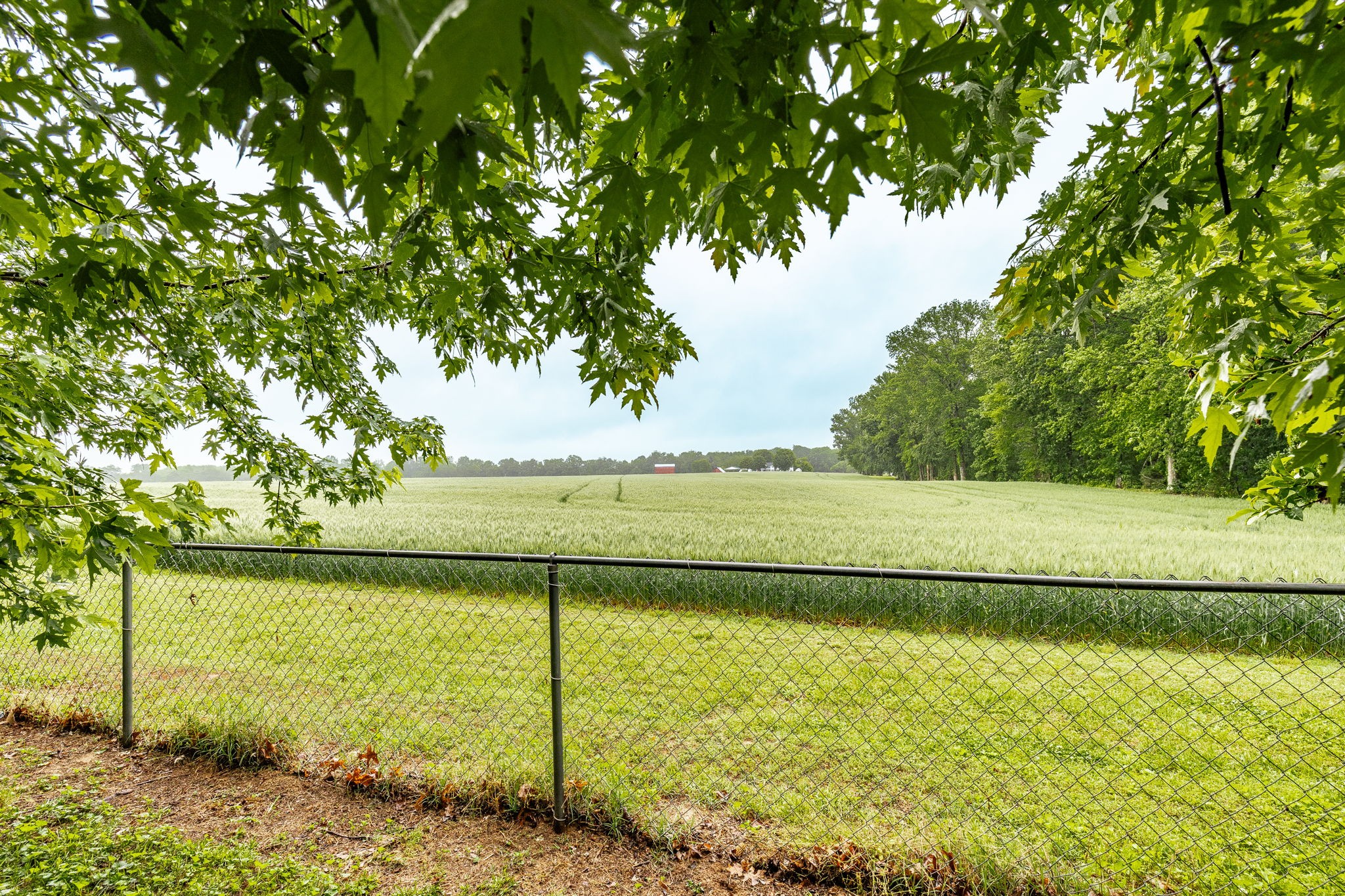 125 Timberwood Dr
