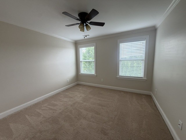7107 Triple Crown Ln