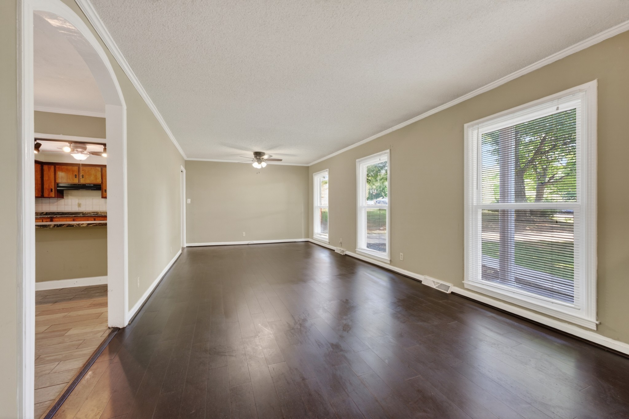 117 Morgan Ct
