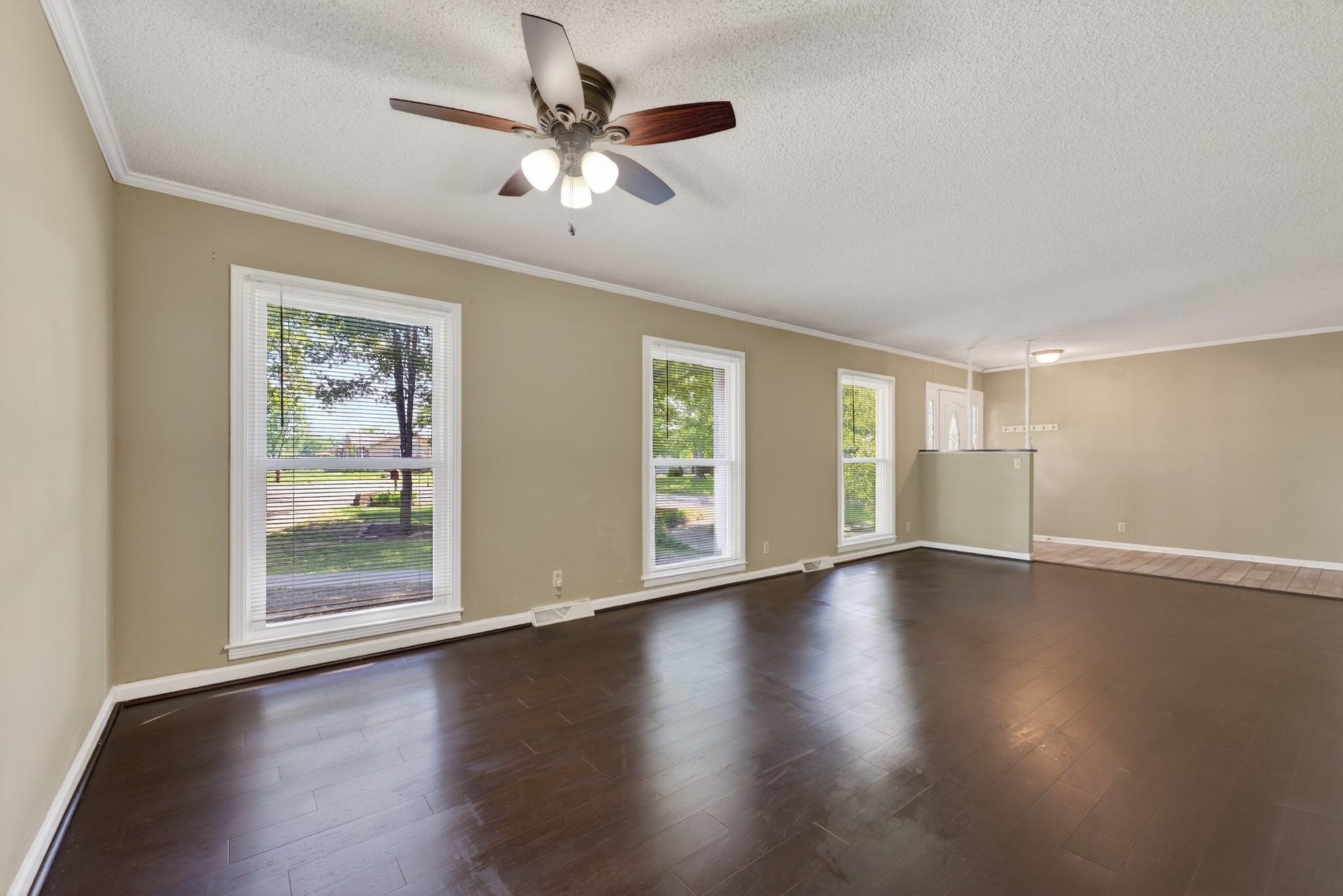 117 Morgan Ct