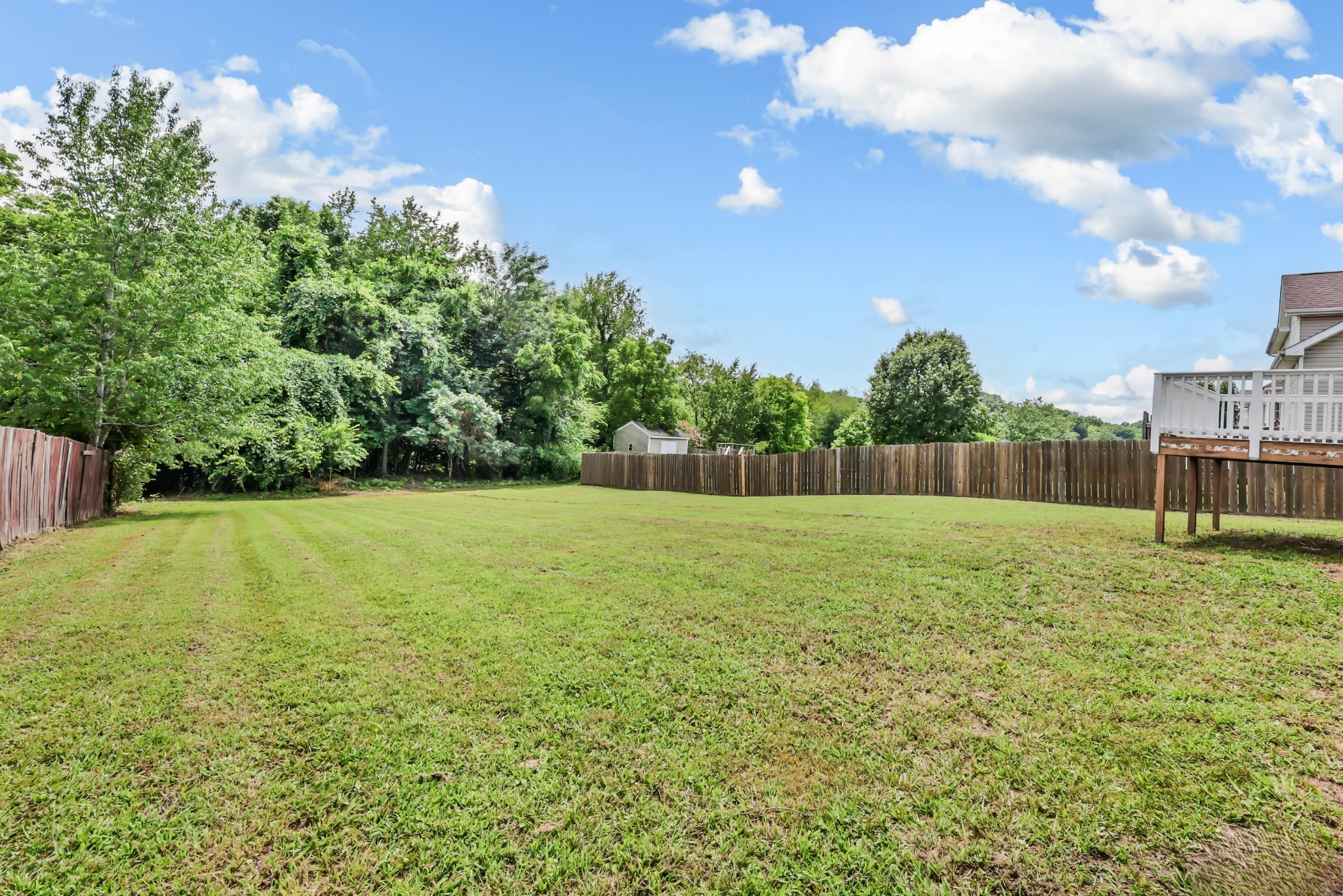1445 Buchanon Dr