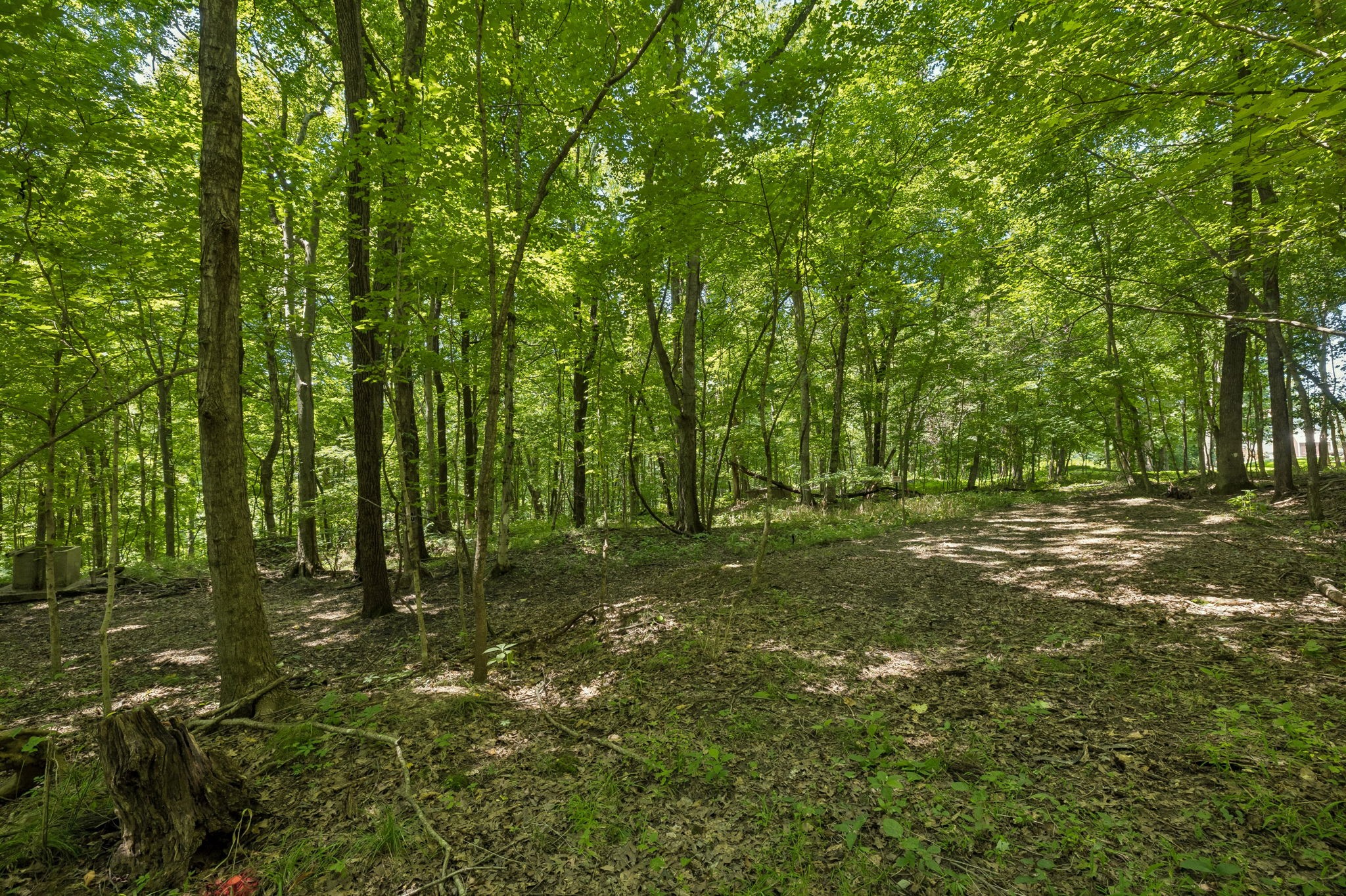 827 Sugarcane Way
