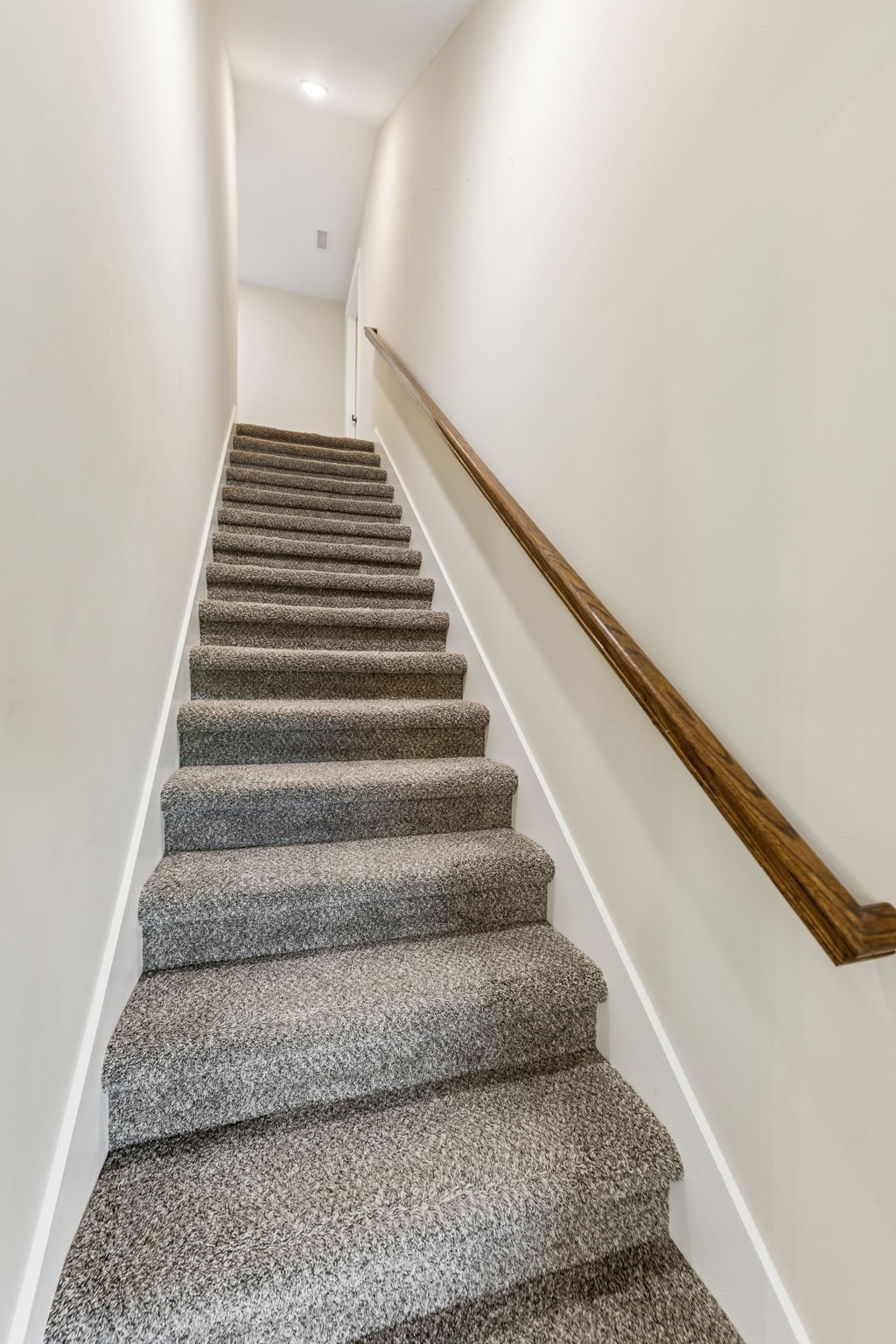 221 Dorchester Cir