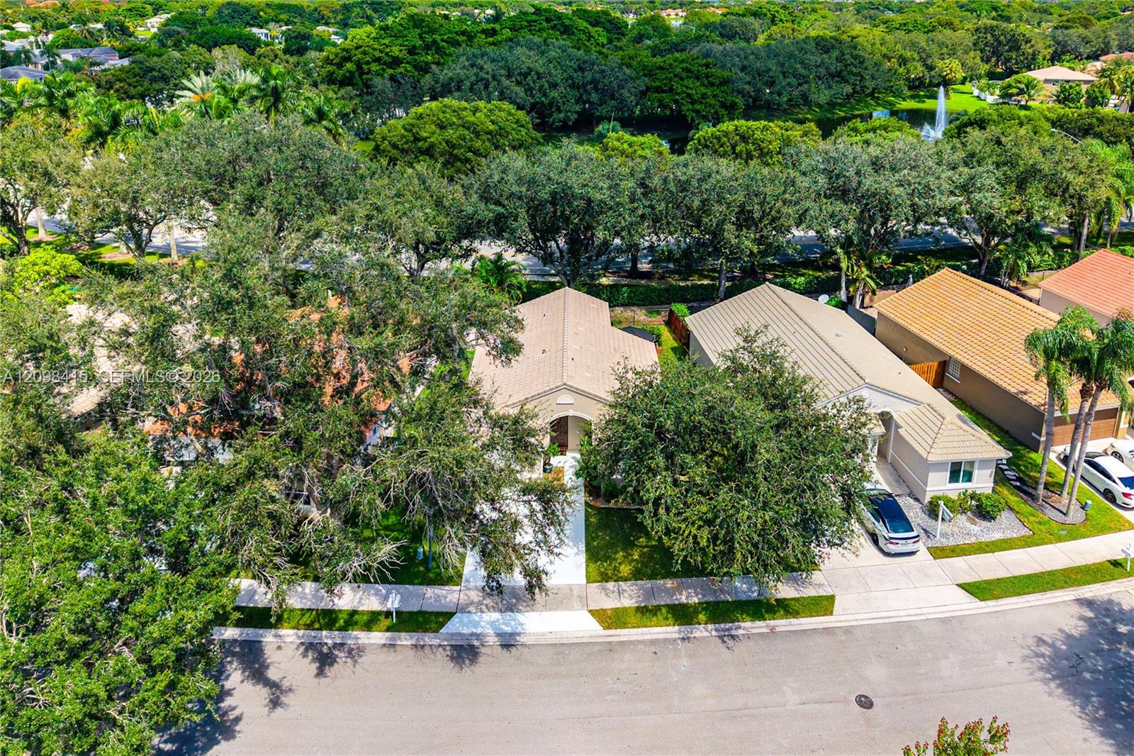 Aerial view of homes along a tree-lined street, with a fountain visible in the wooded background.
