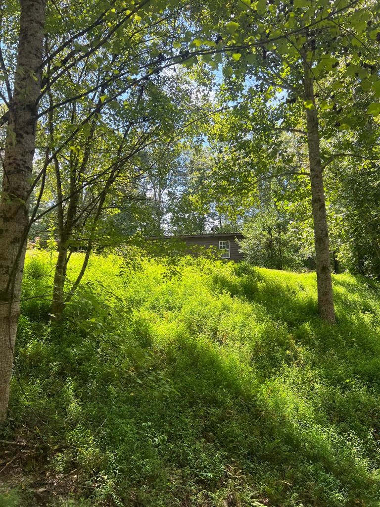357 Wise Road