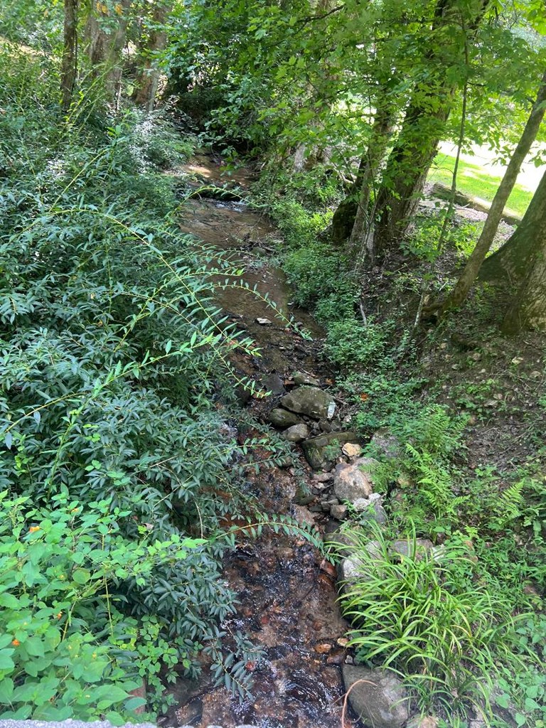 357 Wise Road