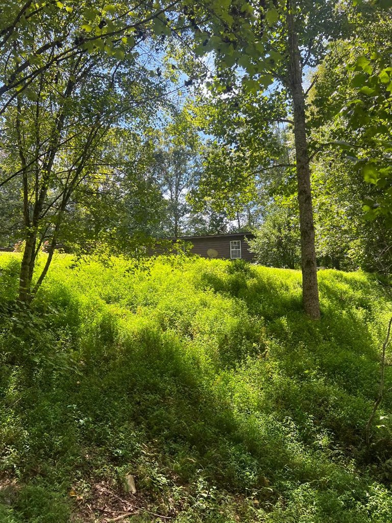 357 Wise Road