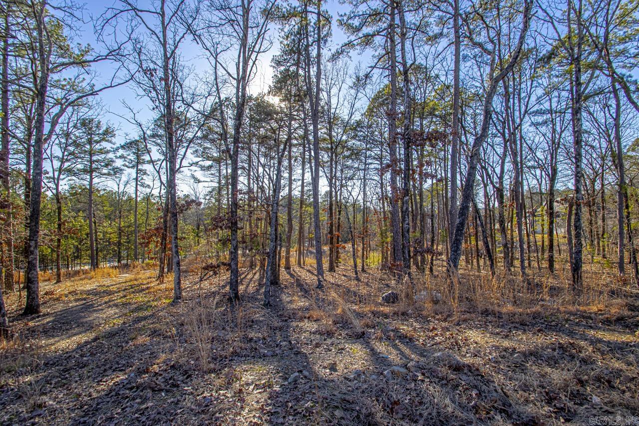 Lot 36 Bear Valley Circle