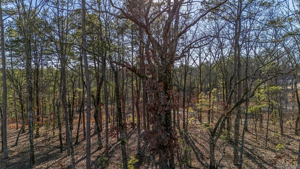 Lot 36 Bear Valley Circle