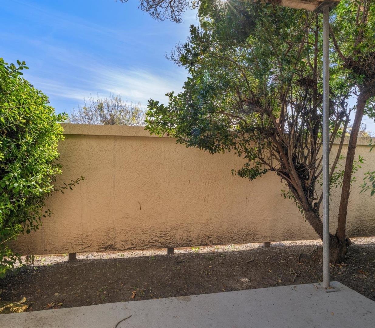 Tan stucco wall behind a concrete patio, framed by shrubs and trees.