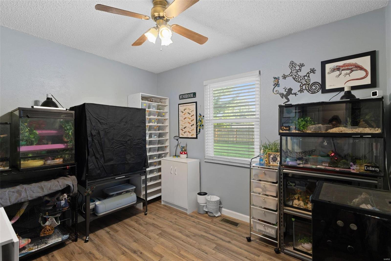 522 Buckeye Drive