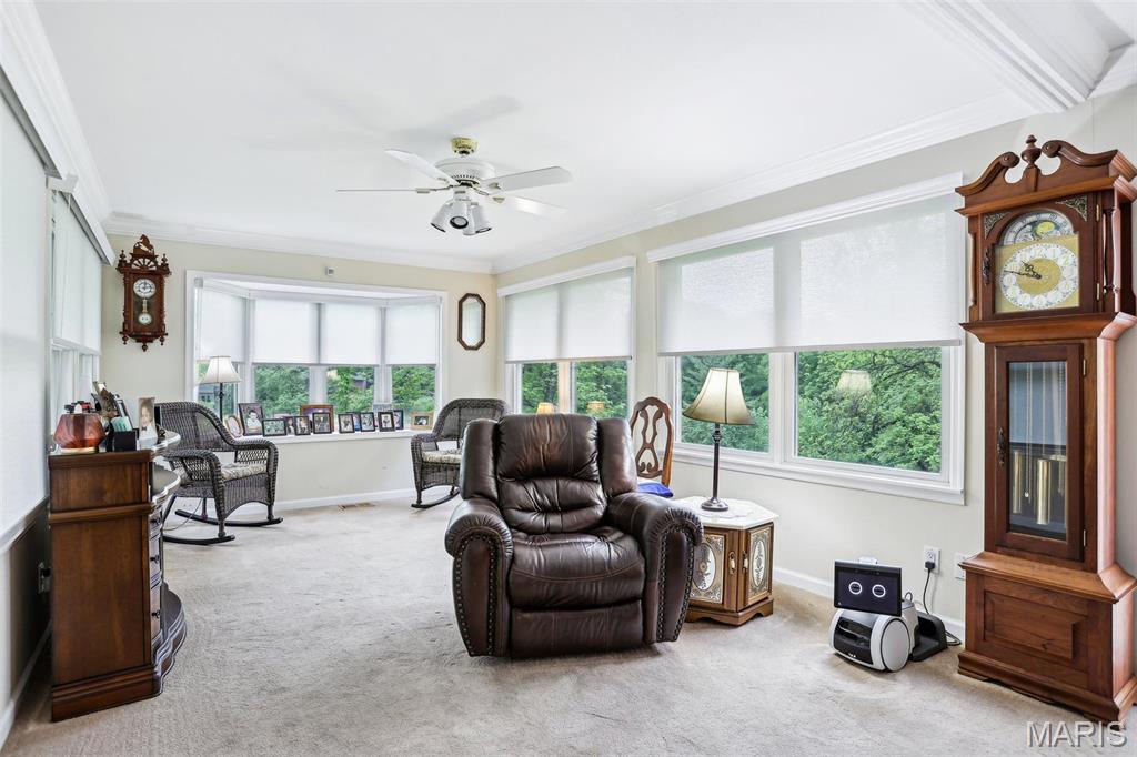 15 Kyle Drive