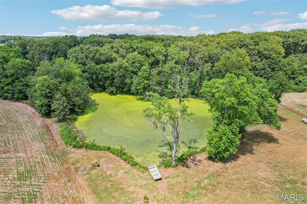 1518 Old Ripley Road