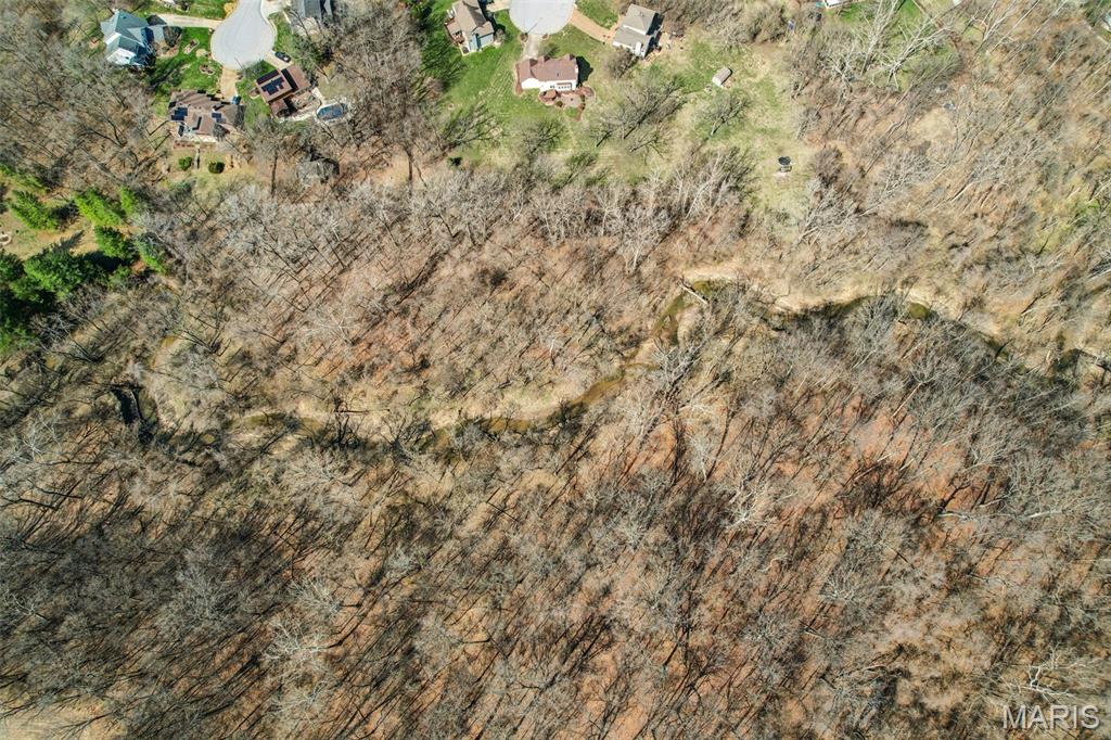 10 White Birch Lane