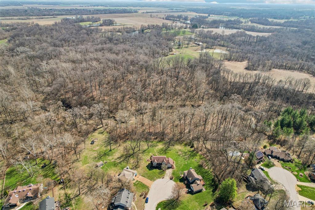 10 White Birch Lane