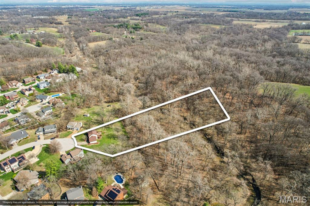 10 White Birch Lane