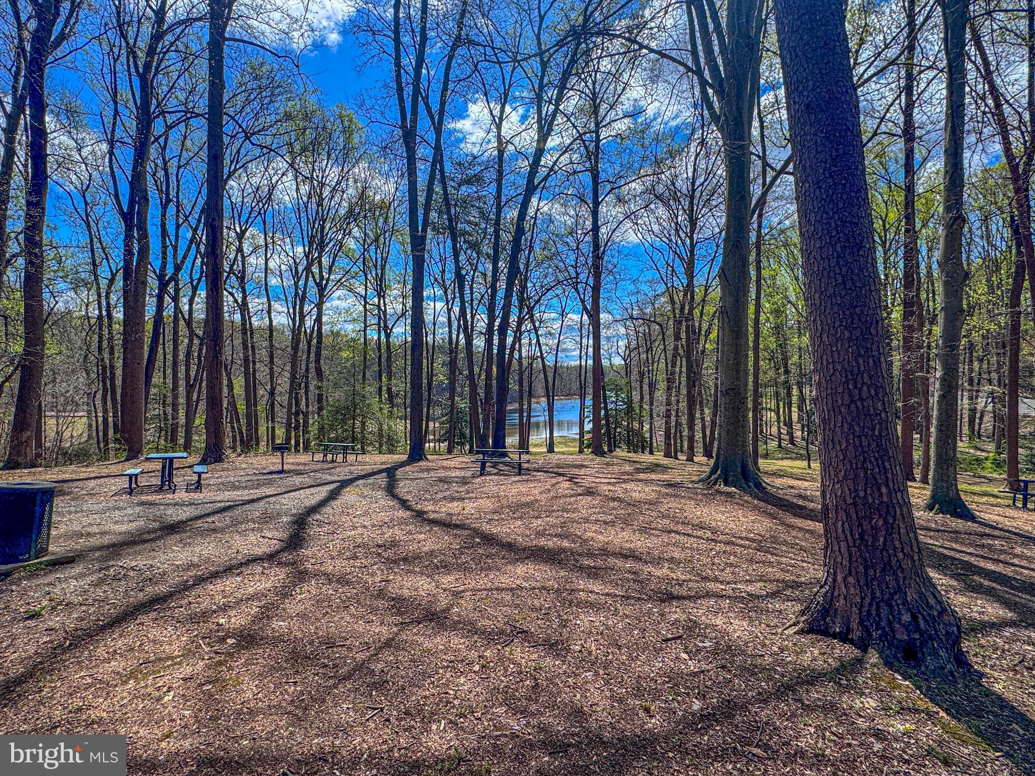 8406 Cherrystone Ct
