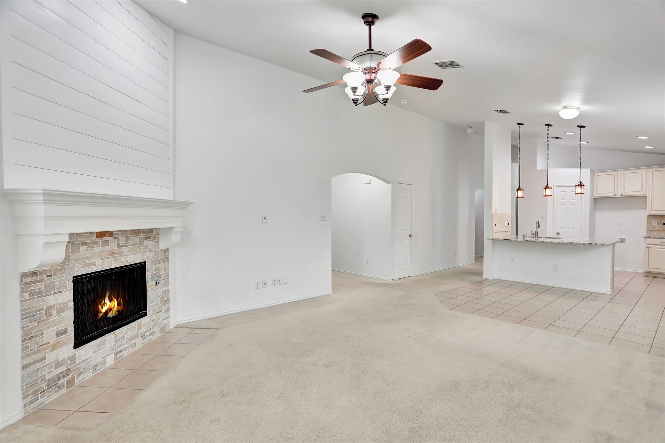 1401 Cedar Springs Drive