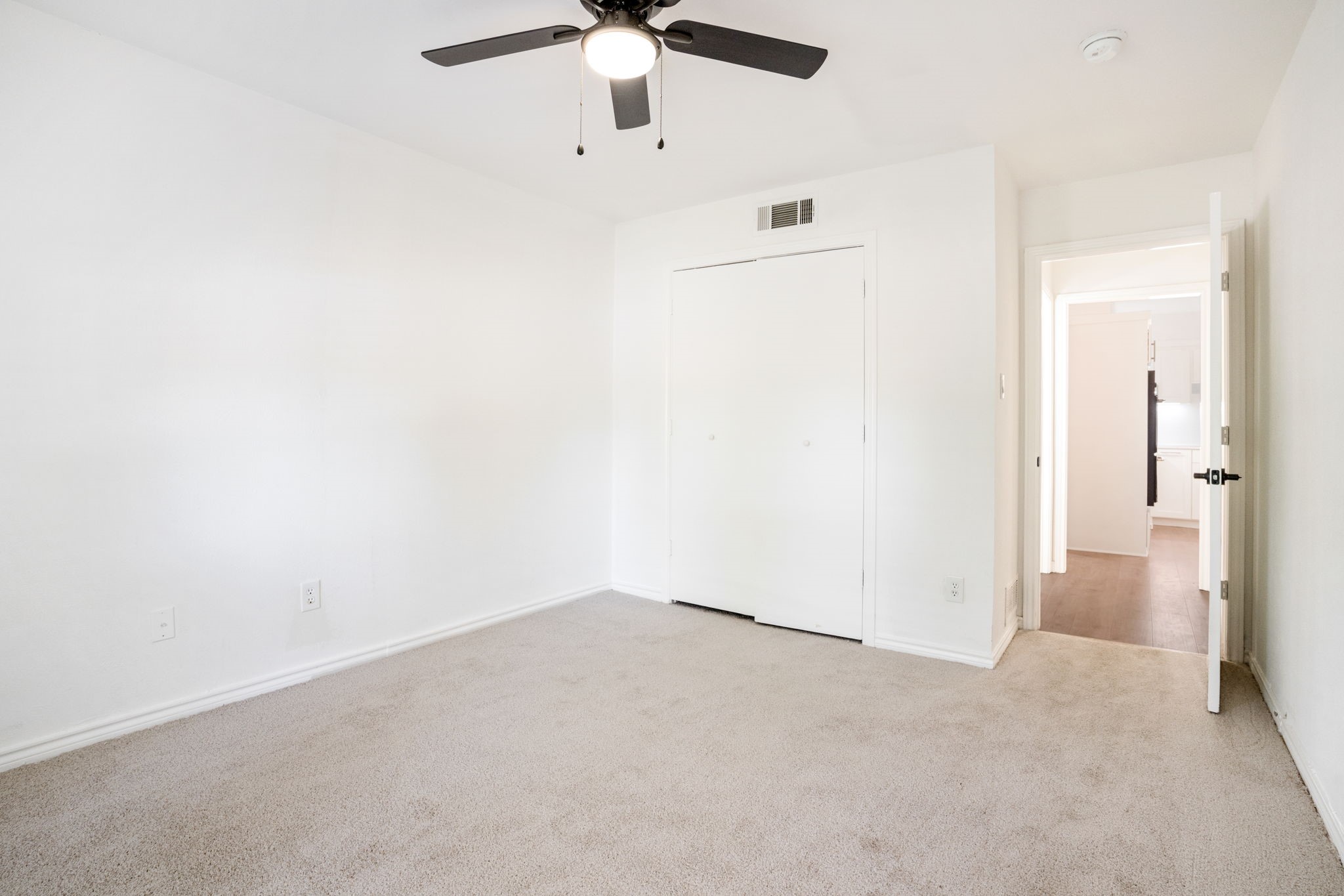 3105 Roundrock Trail