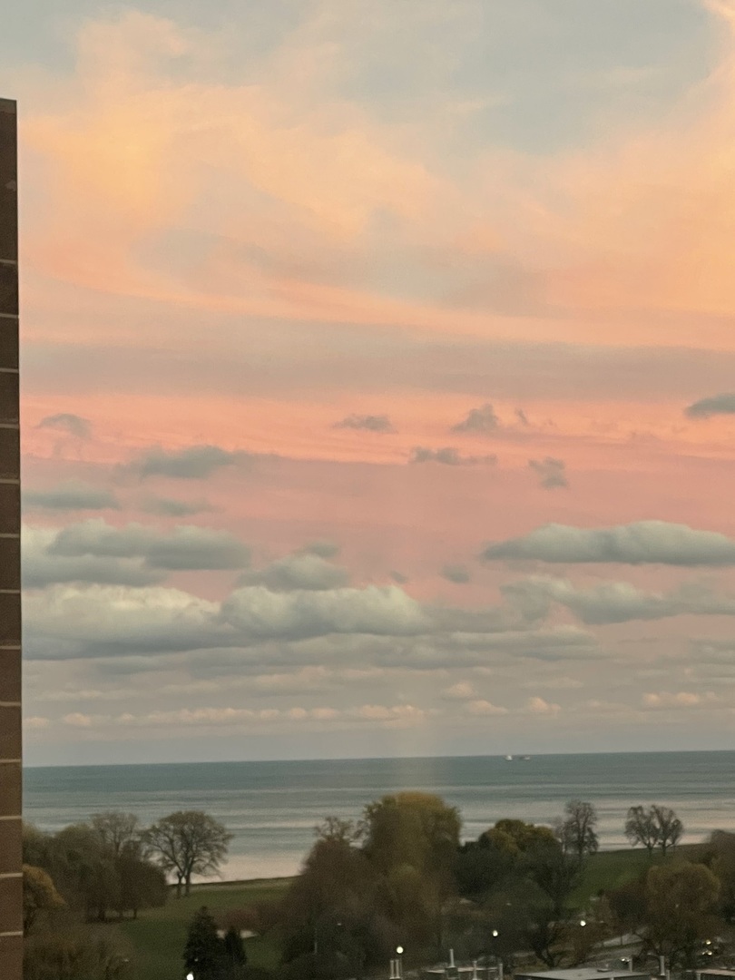 720 W Gordon Terrace Unit: 15N