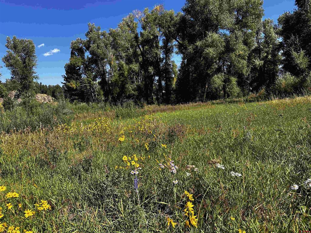 149 Lots 2 & 3 Escondida Drive