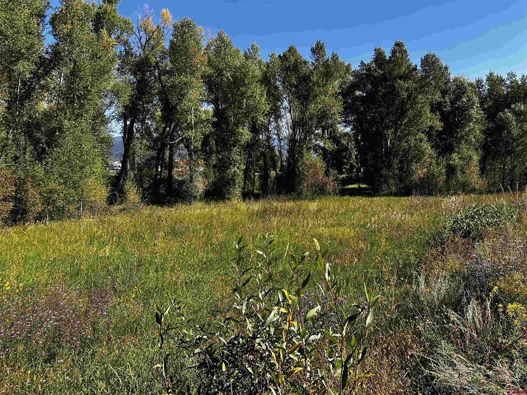 149 Lots 2 & 3 Escondida Drive