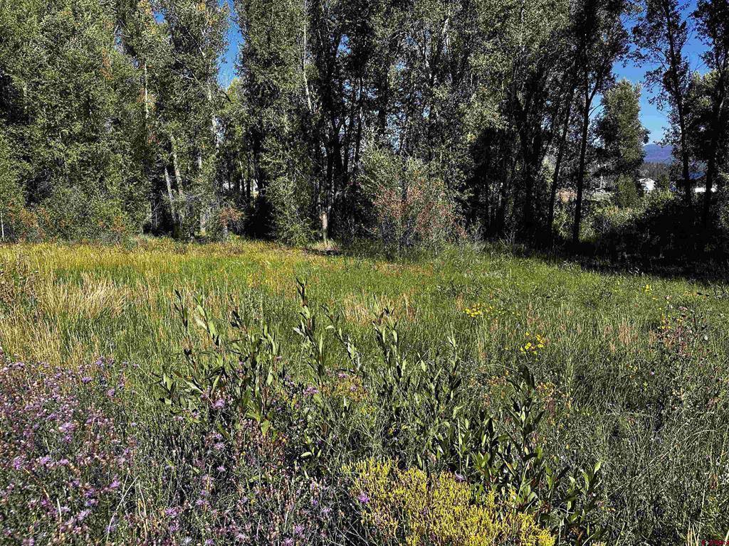 149 Lots 2 & 3 Escondida Drive