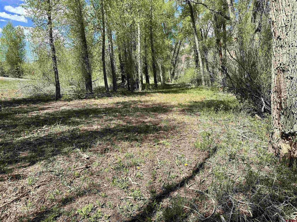 149 Lots 2 & 3 Escondida Drive