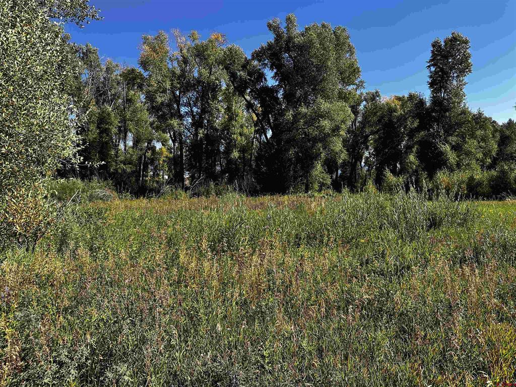149 Lots 2 & 3 Escondida Drive