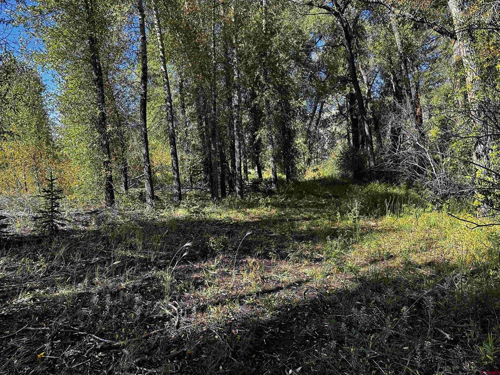 149 Lots 2 & 3 Escondida Drive