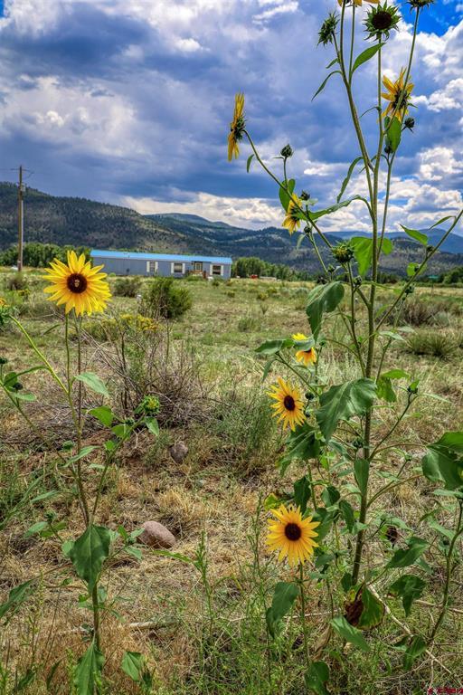 227 Red Feather Road