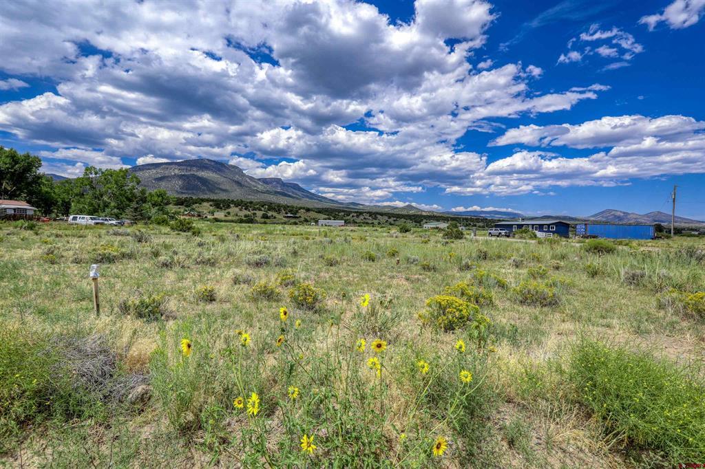 227 Red Feather Road