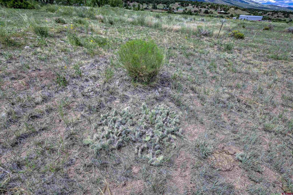 227 Red Feather Road