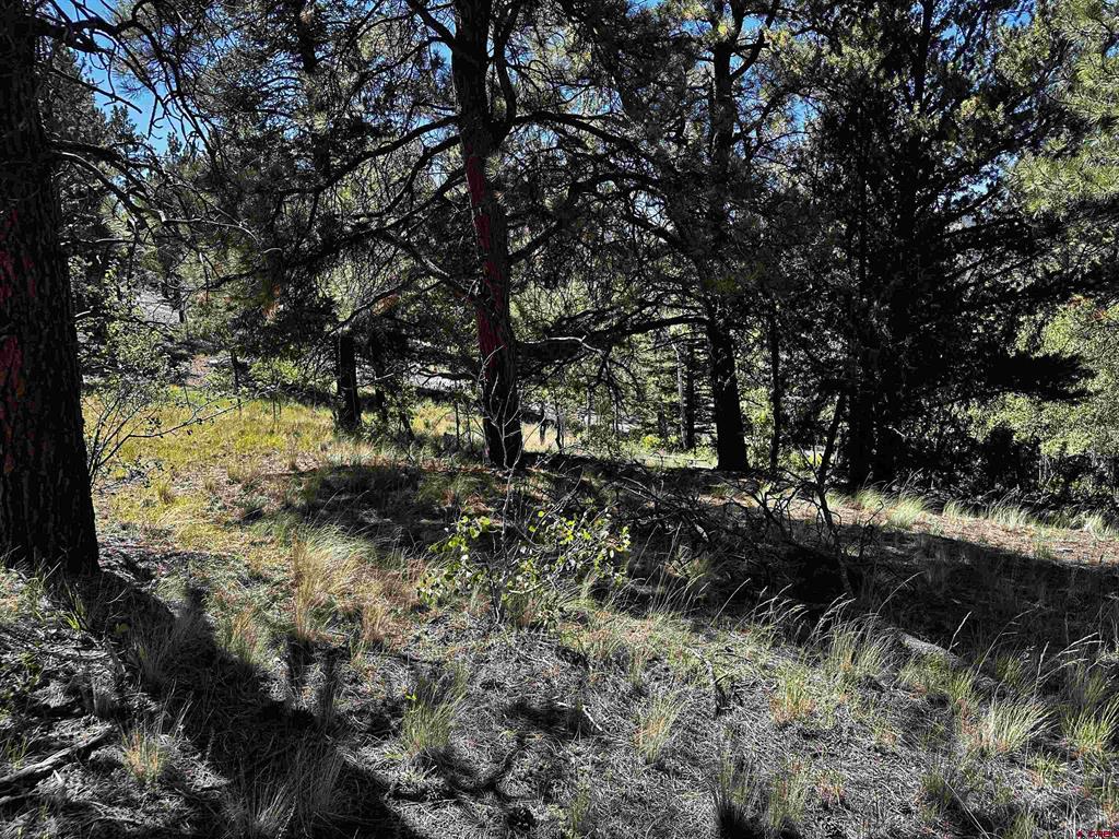 545 Church Creek Drive