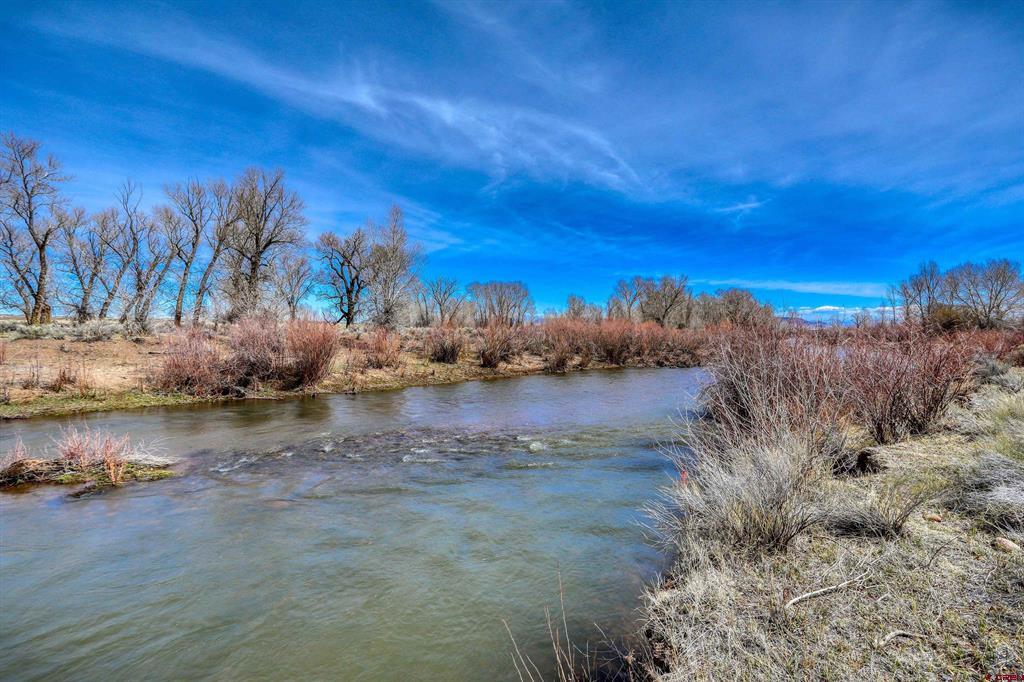 River winding between brush-covered banks beneath leafless trees and a bright blue sky.